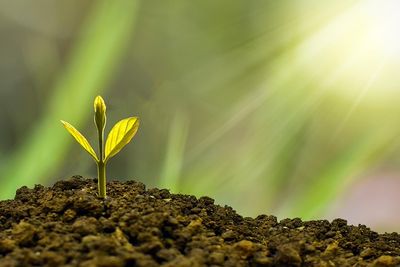 Creating a sustainable business model: strategies for long-term success
